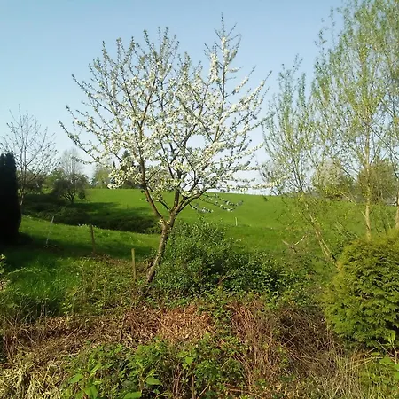 Apartment Nettes Forest Hill Heidelberg Mannheim Weinheim