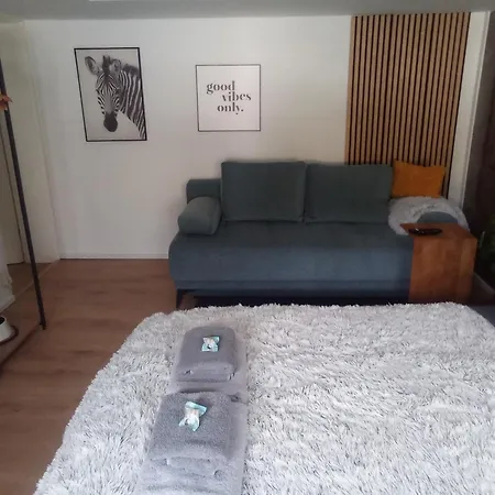 Apartamento Forest Hill Travel &work Nettes Mit Privatem Eingang Mannheim Weinheim Heidelberg