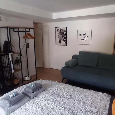 Apartmán Forest Hill Air Conditioning Travel & Work Mit Privatem Eingang Mannheim Weinheim Heidelberg Birkenau