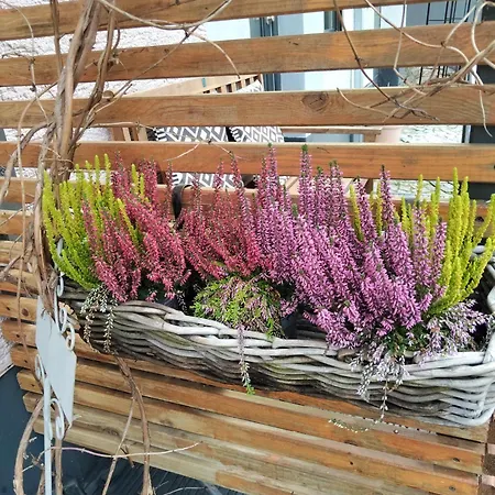 Forest Hill Travel &work Nettes Mit Privatem Eingang Mannheim Weinheim Heidelberg *