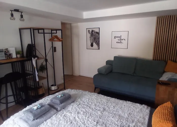 Appartamento Forest Hill Travel &work Nettes Mit Privatem Eingang Mannheim Weinheim Heidelberg Birkenau